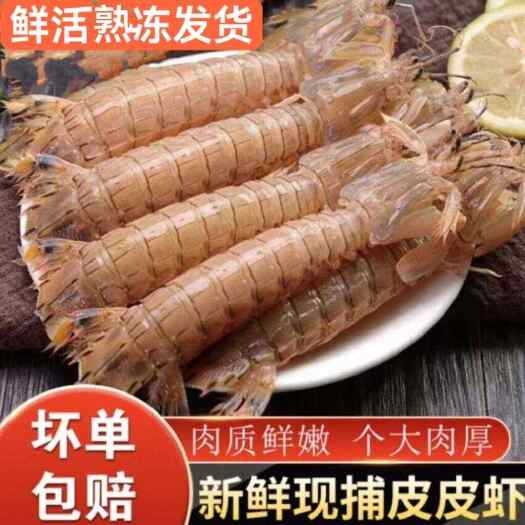 连云港全母皮皮虾鲜活冷冻特大带膏带籽虾爬子濑尿虾熟冻海鲜水产海虾