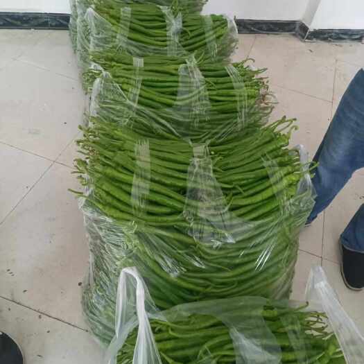 惠水县7号线辣椒
