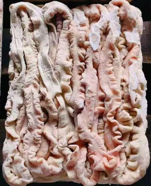 滨州一级预煮大肠