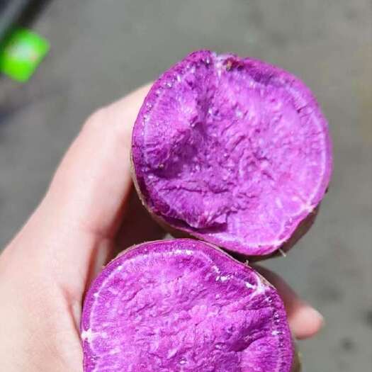 宜城市湖北紫薯现货现发，全平台供应，一件代发
