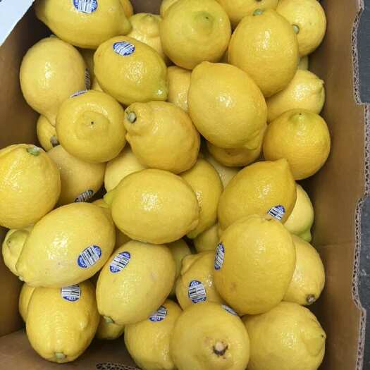 广州尤力克柠檬 新鲜水果 产地直发 柠檬 南非黄柠檬