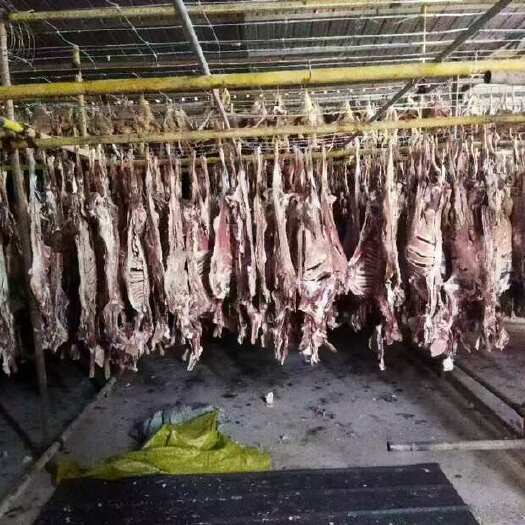 鄂尔多斯内蒙古鄂尔多斯风干羊肉