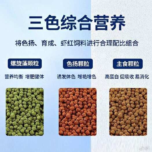 沭阳县鱼食金鱼锦鲤鱼饲料小颗粒鱼粮热带观赏鱼家用小金鱼专用上浮增色