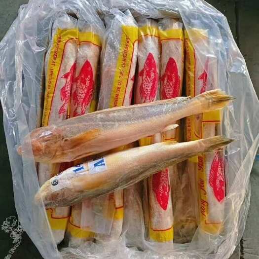 连云港黄鱼黄花鱼大黄鱼非养殖烤鱼冷冻大黄鱼小黄鱼商用批发海鱼