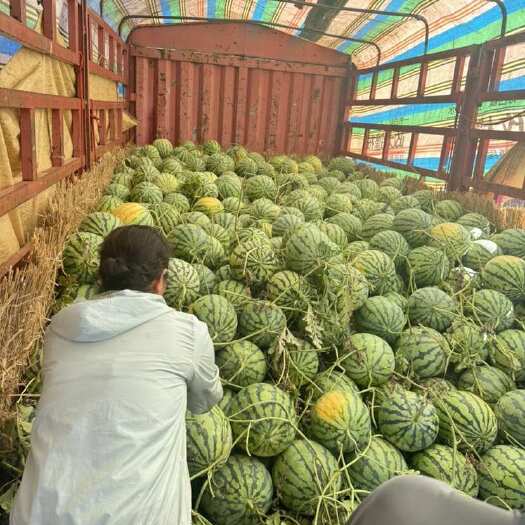 凤台县精品美都大量上市