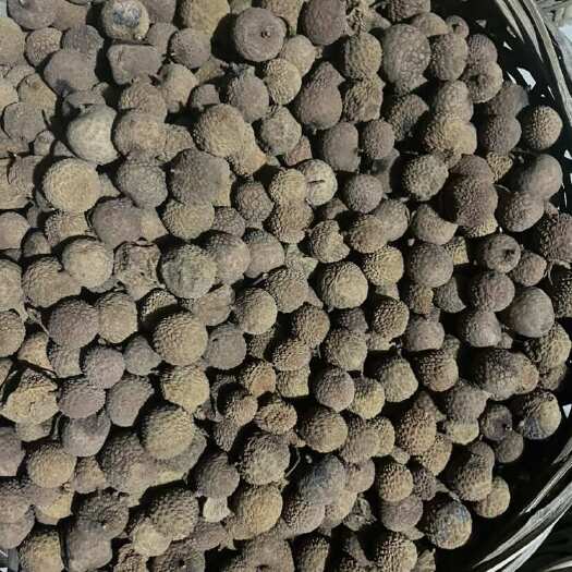 漳州福建漳州荔枝干，自家凉晒