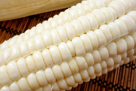 莒南县鲜糯玉米