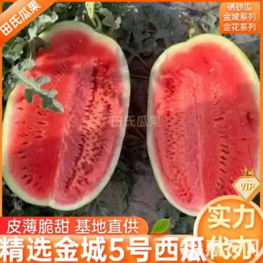 中卫硒砂瓜～金城武号～金花1号～石头瓜～宁夏香山几十万亩西瓜！