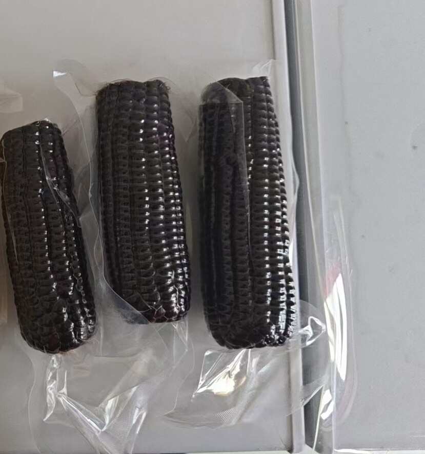2025头茬新货黑糯玉米 粘玉米