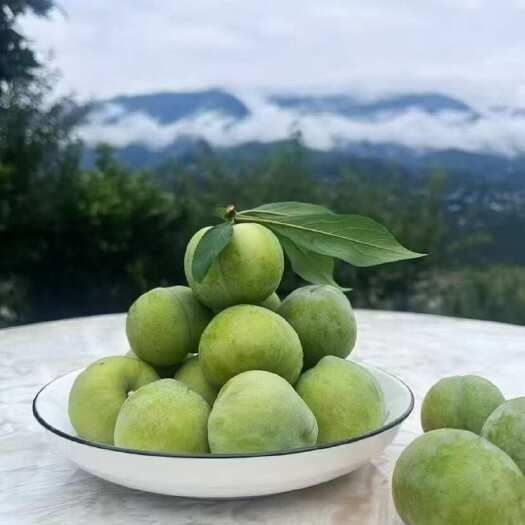 巫山巫山脆李好吃到爆