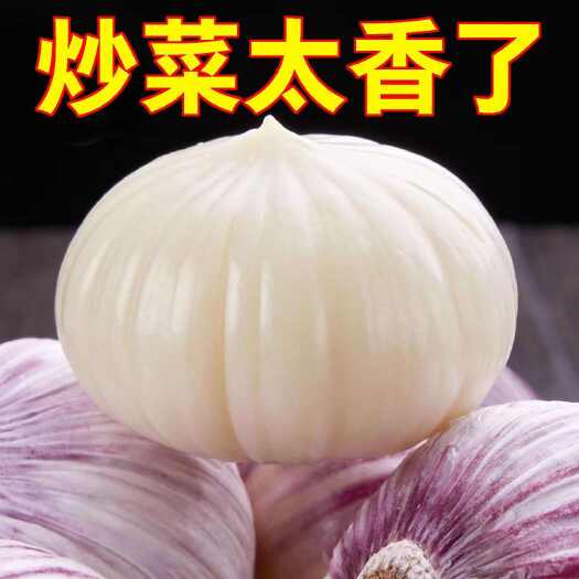 阳信县独头蒜，老品种紫皮算