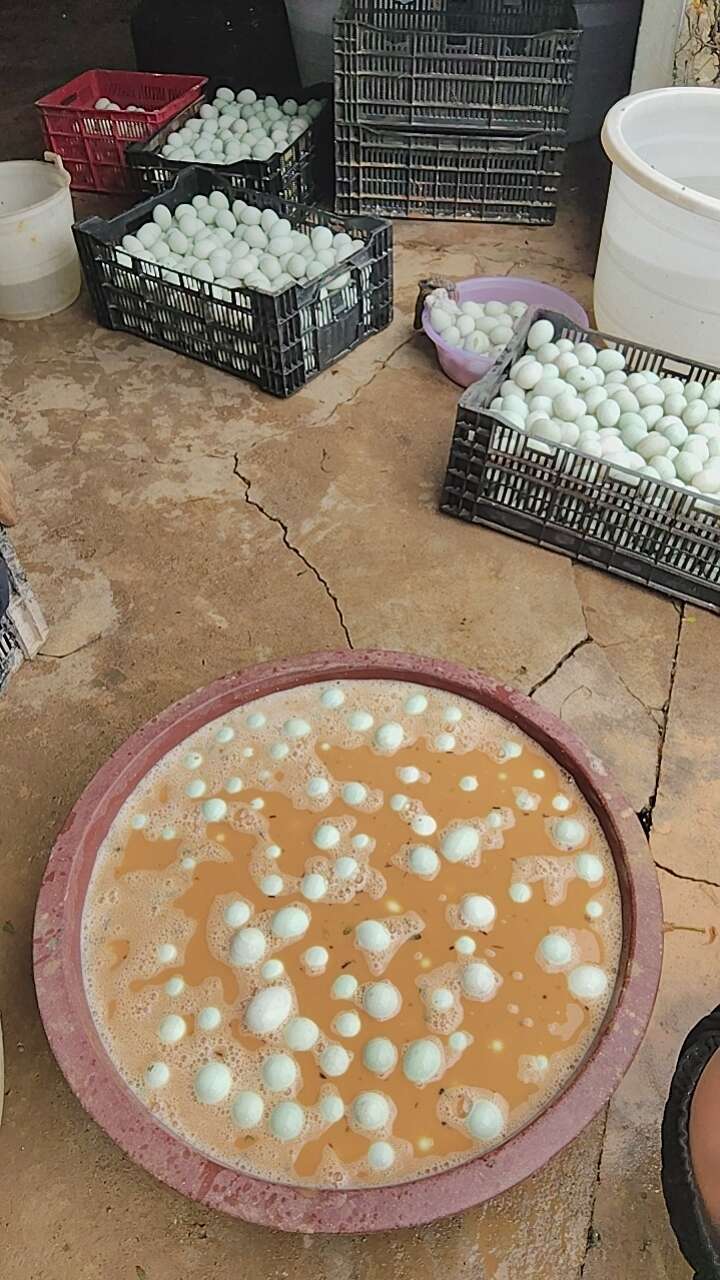 我家自制的秘制咸鸭蛋，每一颗都是精心挑选、传统工业腌制而成。