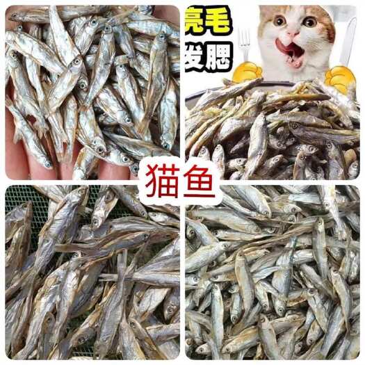 佛山猫零食小鱼干淡水无盐鱼干猫咪零食批发增肥发腮补钙宠物零食