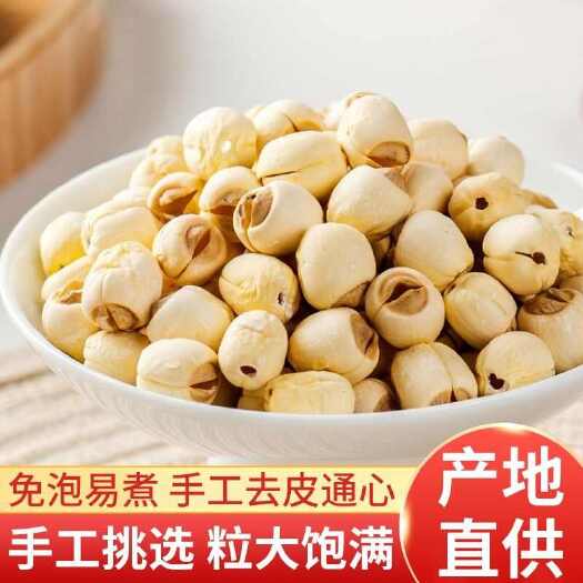 湘潭县湖南湘潭白莲子炒莲，水泡莲，白莲子