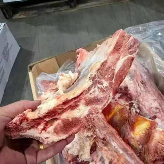 大连3203草饲牛胸骨，现货50吨可打包，草饲鲜质，炖煮佳
