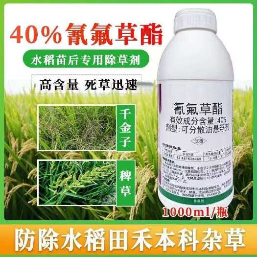 天门市稻草飞40%氰氟草酯水稻田除草剂千金子稗草马唐杂草除草剂正品