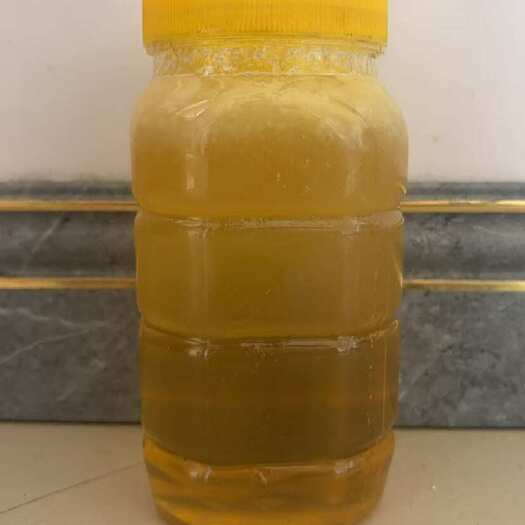 阜新县荆条蜜