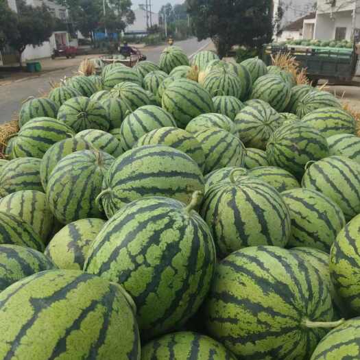 宜城市美都大量现货