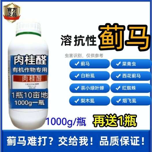 郑州蓟马抗性蓟马蚜虫粉虱速溶蔬菜豆角草莓茄子水稻瓜果大葱生物制剂