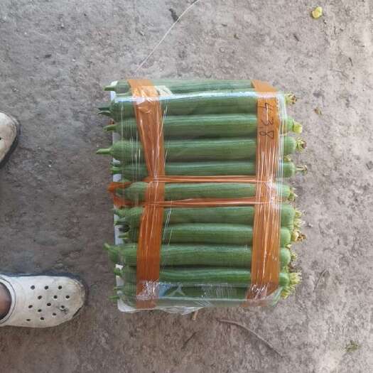 江阴市优质肉丝瓜，江苏无锡江阴产地直发