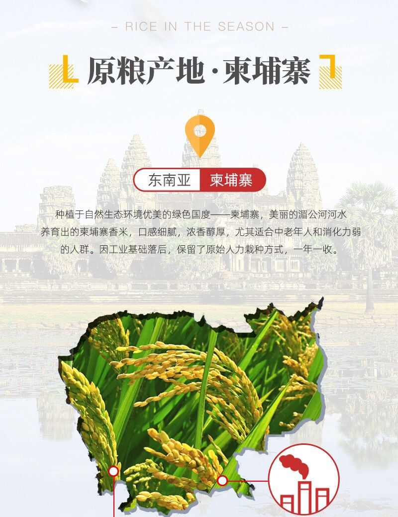 泰国香米猫牙香米；柬埔寨香米茉莉香稻。真空包装，十分好吃。