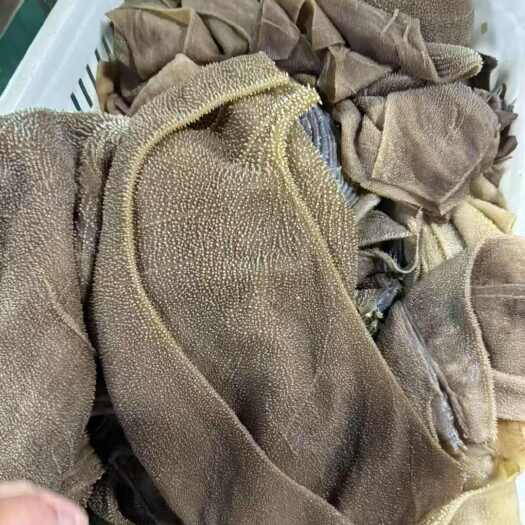 成都毛肚系列