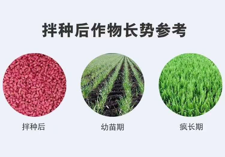 小麦拌种剂种子包衣剂生根壮苗提高出芽花生玉米微生物包衣剂