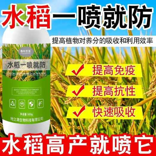 潍坊水稻一喷就防提高免疫促进颗粒饱满补充营养生水稻粒粒饱增产春秋