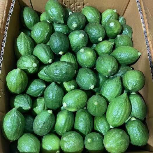 开平市广东香水柠檬无籽酸青柠檬一级皮薄新鲜整箱水果甜奶茶店专用