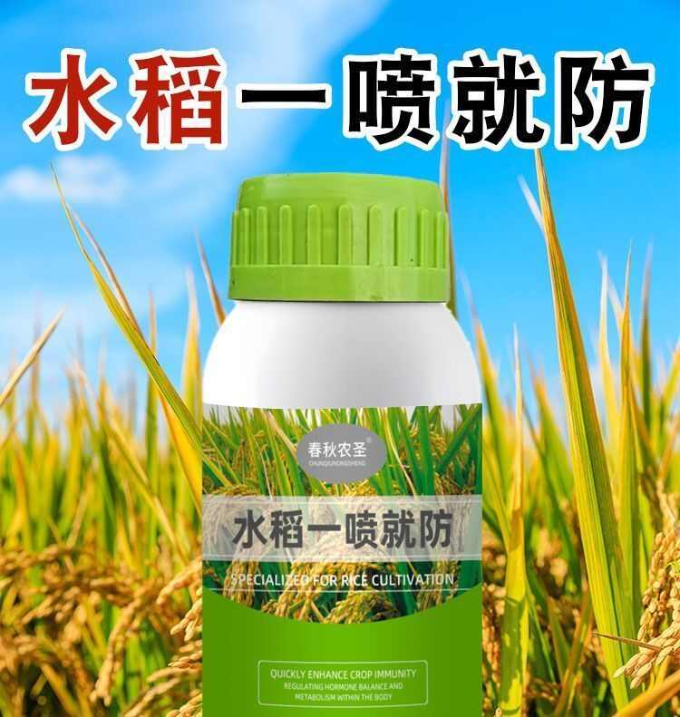 水稻一喷就防提高免疫促进颗粒饱满补充营养生水稻粒粒饱增产春秋