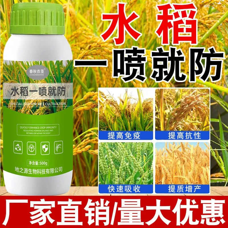 水稻一喷就防提高免疫促进颗粒饱满补充营养生水稻粒粒饱增产春秋