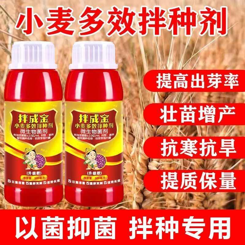 小麦拌种剂种子包衣剂生根壮苗提高出芽花生玉米微生物包衣剂