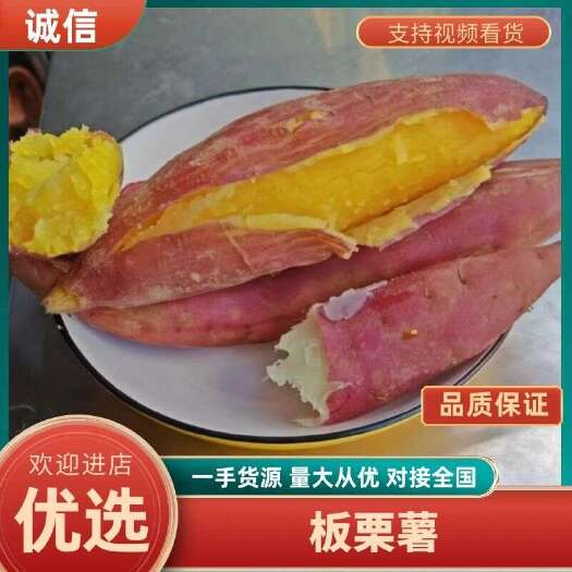 济薯  黄金薯  板栗薯  香甜糯