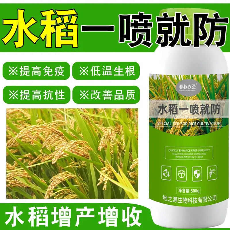水稻一喷就防提高免疫促进颗粒饱满补充营养生水稻粒粒饱增产春秋