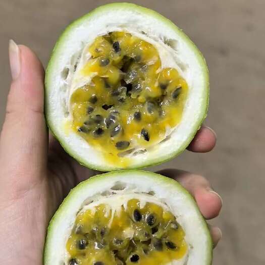 南宁广西南宁本地种植户钦蜜9号现摘，中、大、特大果，价格量大从优