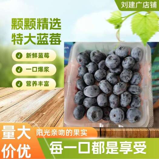 产地直发，一手货源，量大从优