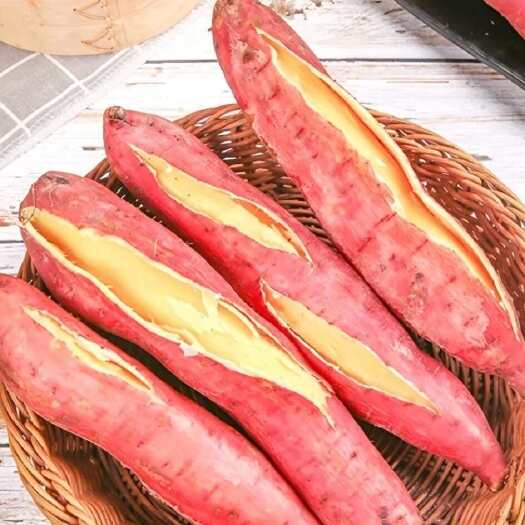 西安陕西西安板栗薯