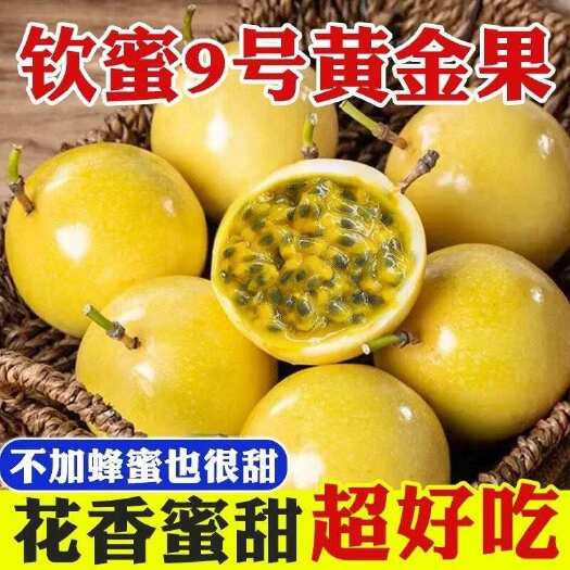 灵山县广西特产钦蜜九号黄金百香果维C纯甜无酸孕妇儿童可食用包邮