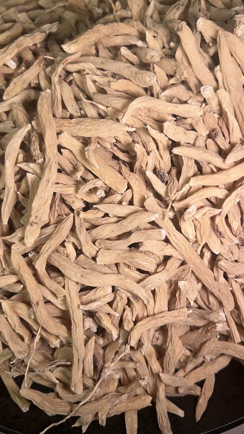 福建麦冬中药材高海拔原产地