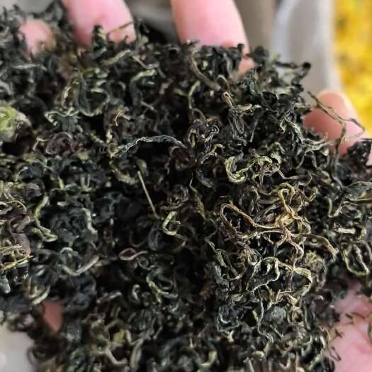 鄄城县蒲公英茶 散装花草茶 农副加工