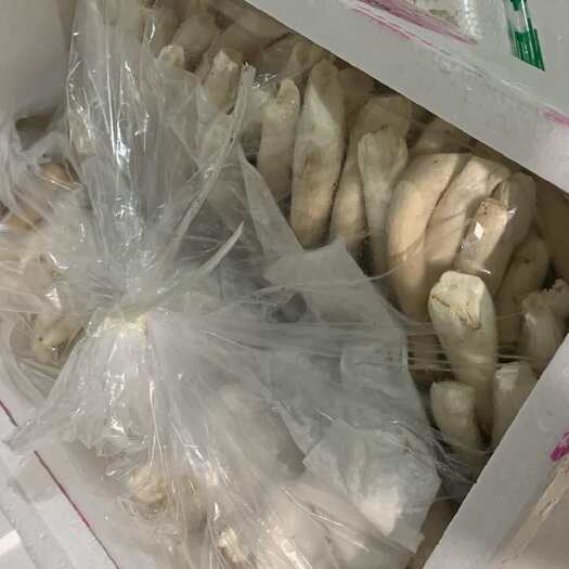 淮安鹿茸菇，￼棒棒鹿茸菇！￼￼￼ 2.5千克每箱