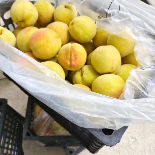 三明锦绣黄桃