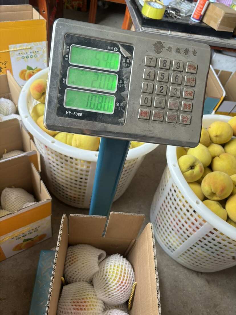 建宁锦绣黄桃，产地直发，顺丰直达，新鲜到家，坏果包赔