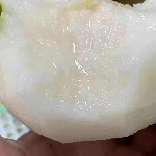 江西抚州金溪蜜梨 新鲜水果核果仁果类 梨类优选