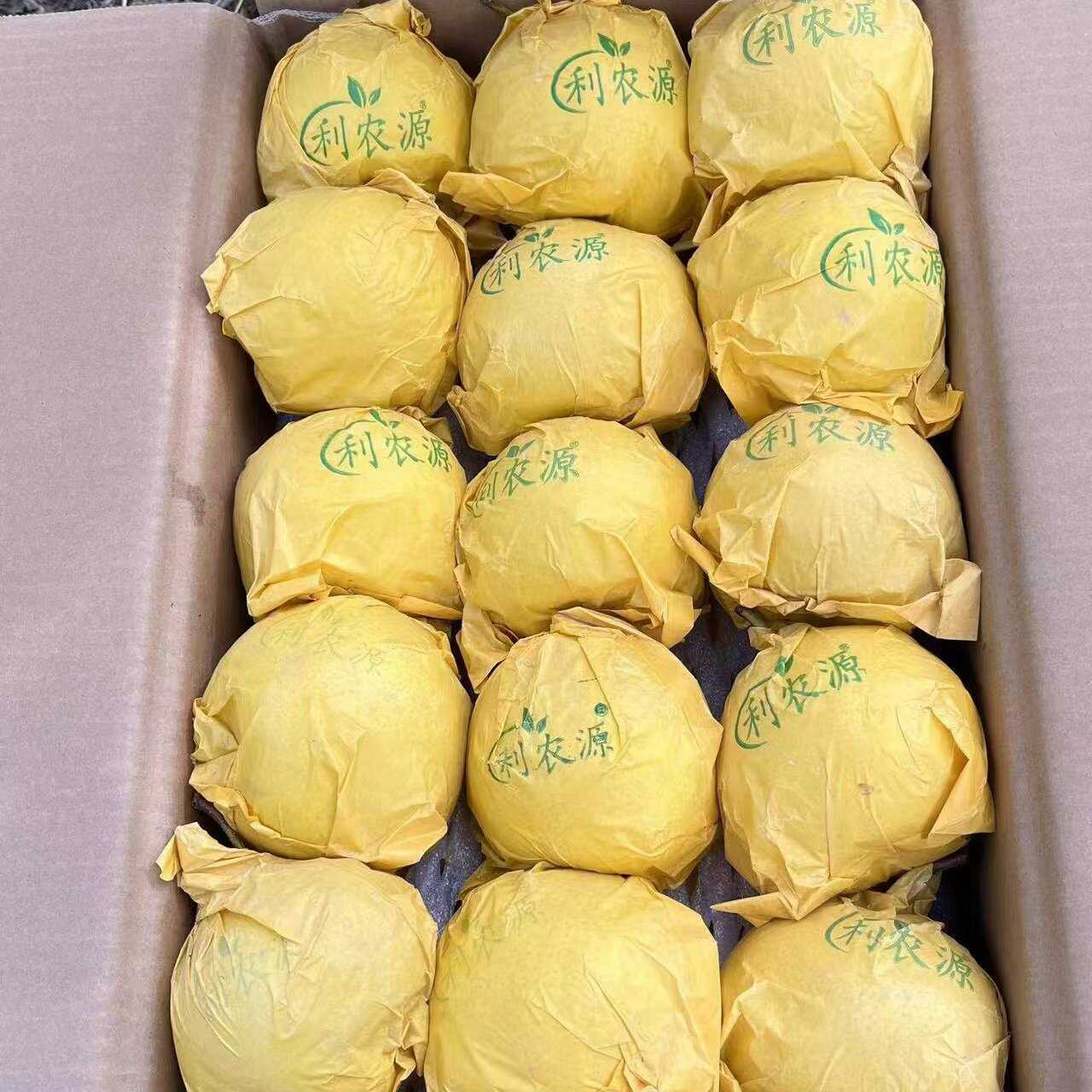 云南雪花梨精品货