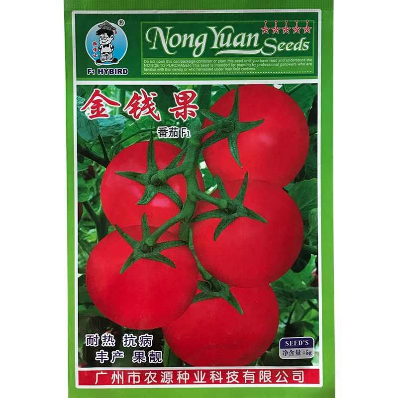 耐热抗病强果实硬实