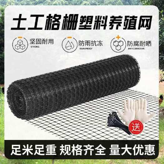 衡水养鸡拦鸡塑料网围栏围鸡护栏网加厚网格玉米网菜园圈地围墙专用网