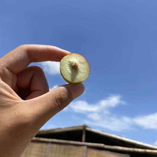 蒙自市大密罐甜枣脆甜红枣老品种红枣