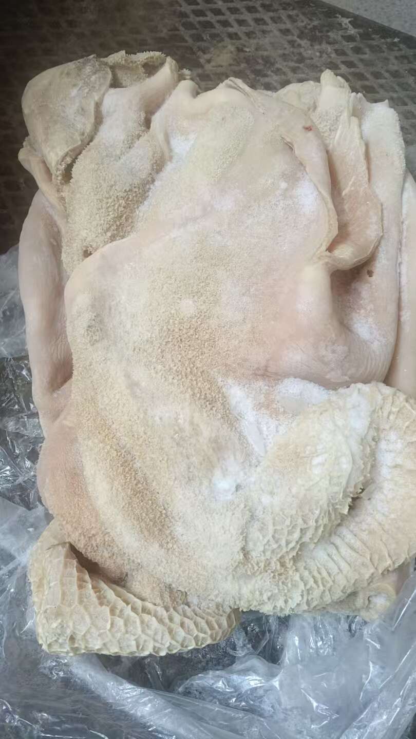 郑州国产牛肚 清水退 笨煮禽畜肉蛋肉类牛副产品新鲜供应