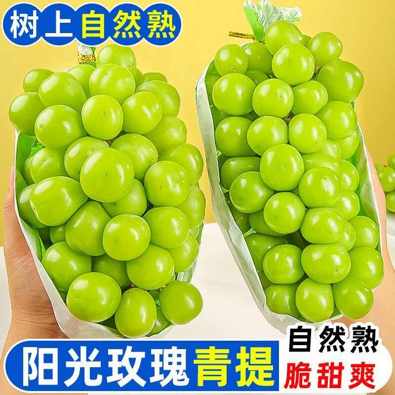 【送到家】阳光玫瑰葡萄晴王水果新鲜应当青提子整串整箱包邮